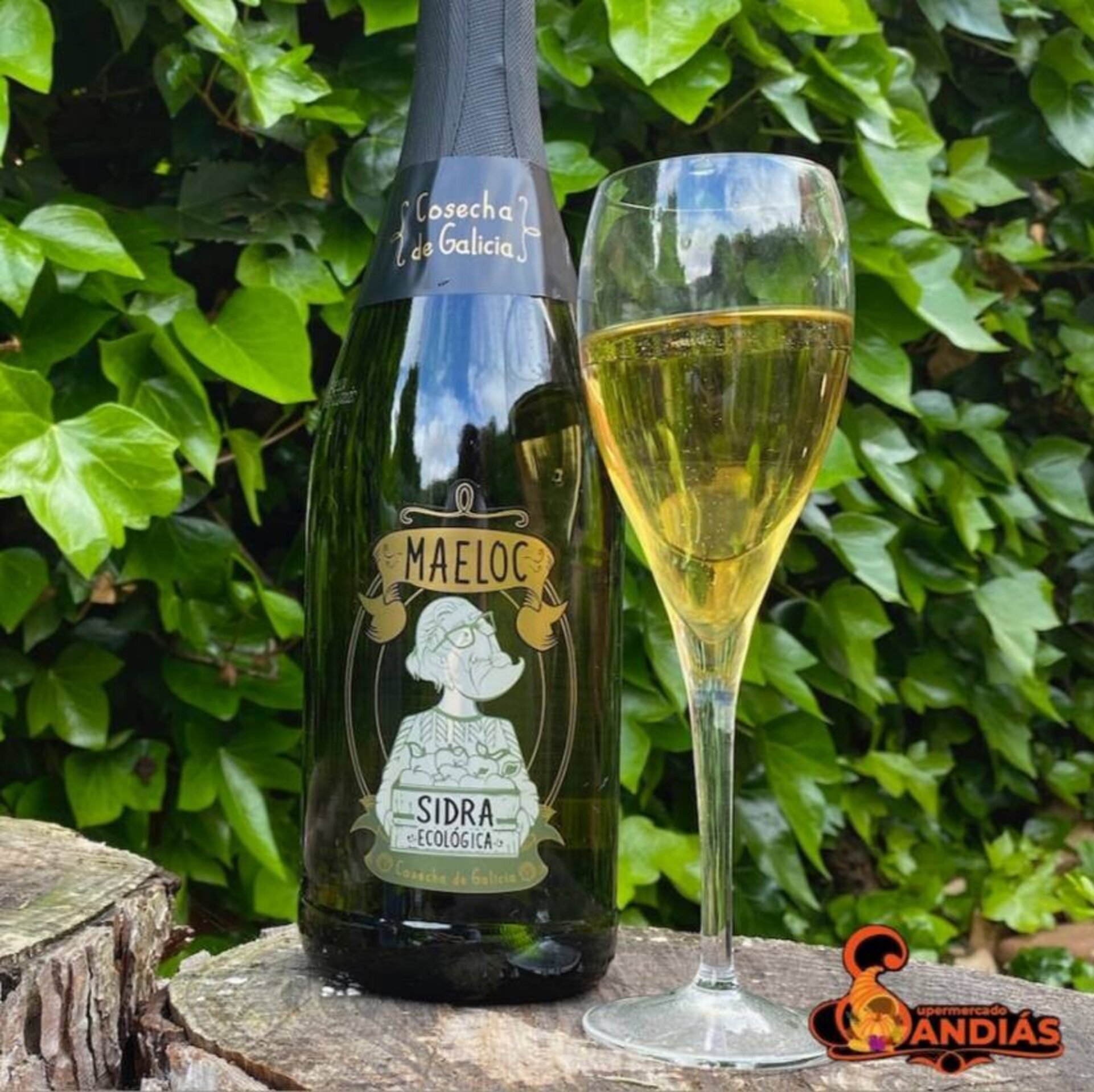 Sidra ecológica Maeloc 750 ml - 2