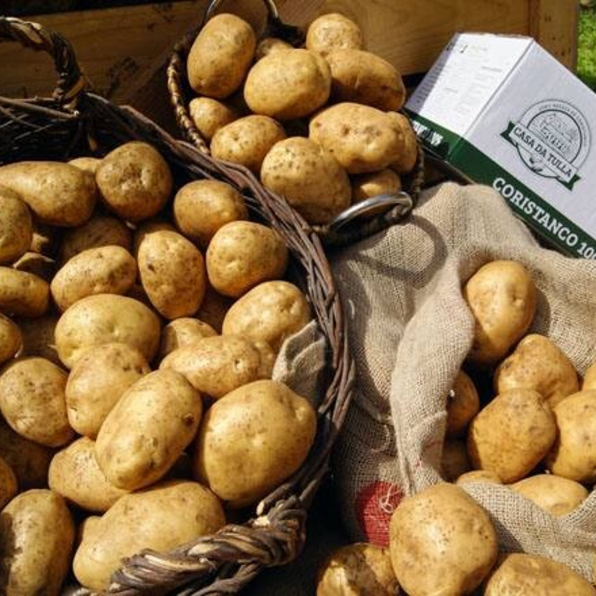 Patatas de Galicia