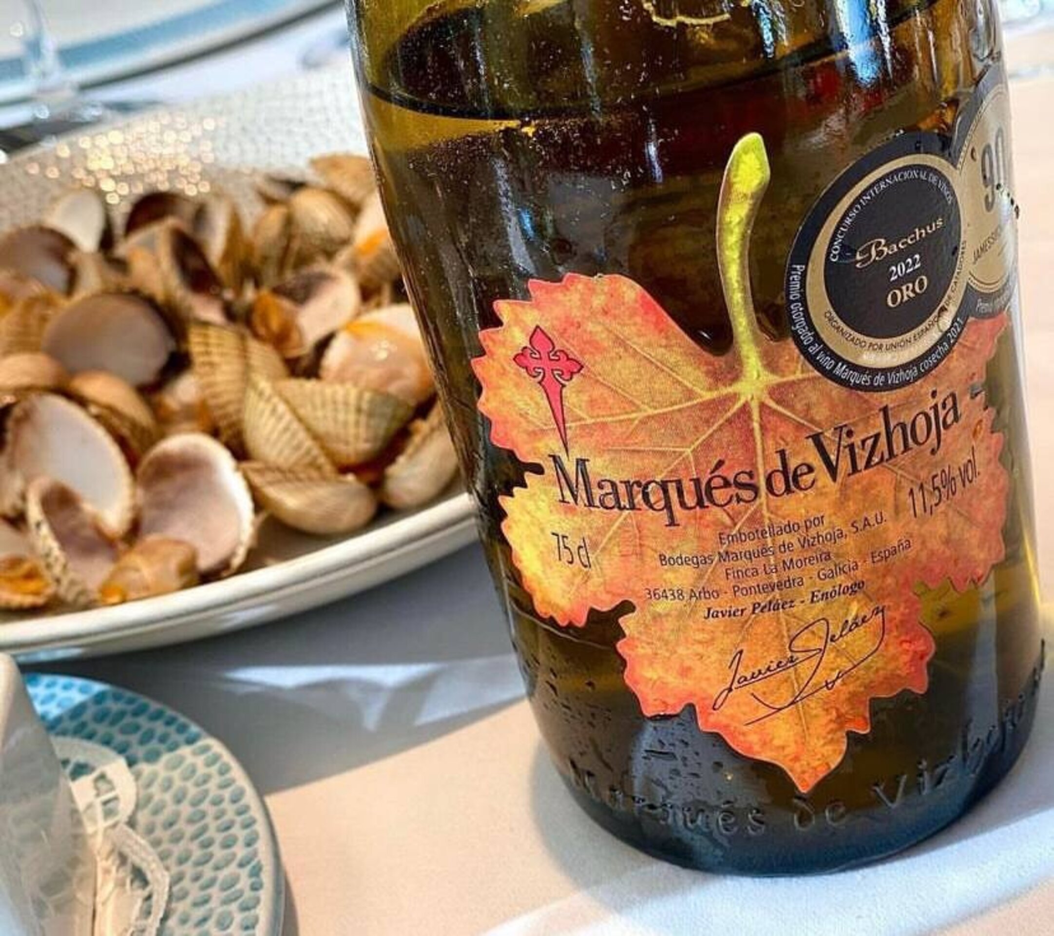 Marqués de Vizhoja Albariño - 2