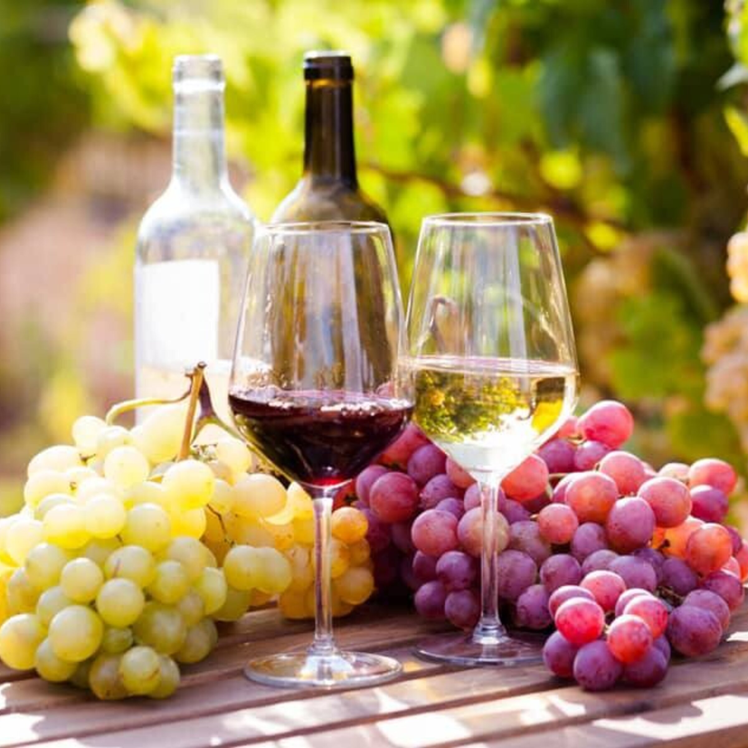 Vino